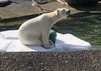 Ein Tier – ein Ort