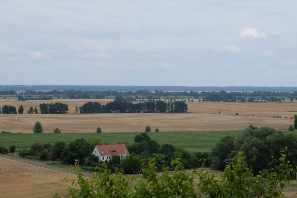 Oderbruch