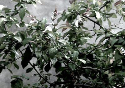 Carmen Winter liest „Trümmerliteratur“