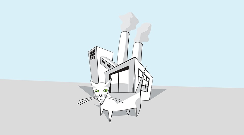 Katzenfabrik – Jan Borchert