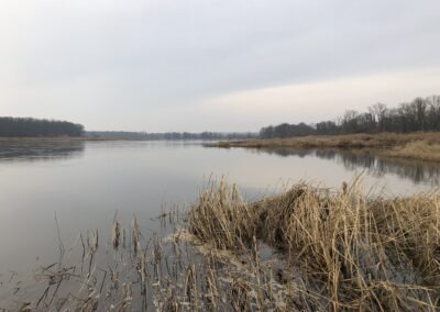 Die Oder ist keine Dame